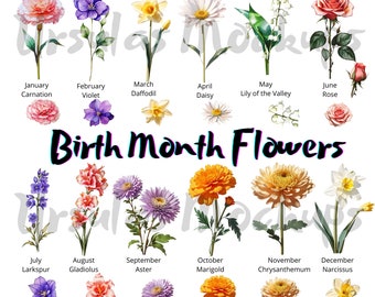 May include: A chart showing the birth month flowers. Each month is represented by a flower with its name below. The flowers are illustrated in a vintage style with a white background.