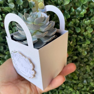 Etiqueta Let Love Grow, revelación de género, regalos de fiesta suculentos, cajas de regalos de boda, regalos de despedida de soltera y baby shower