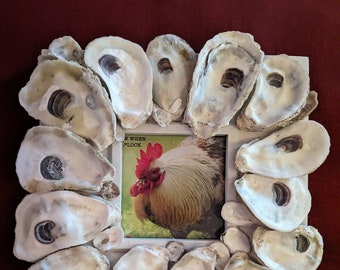 Oyster Shell Frames - Various Styles