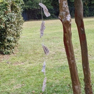 May include: A string of white oyster shells hanging from a tree branch. The shells are tied together with string and are hanging in a line. The tree is in a grassy area with brown leaves on the ground.