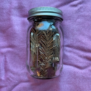 Könnte beinhalten: Ein klares Glas mit einem silbernen Deckel, gefüllt mit getrockneten braunen Blättern und Stängeln. Das Glas steht auf einer rosa Oberfläche.