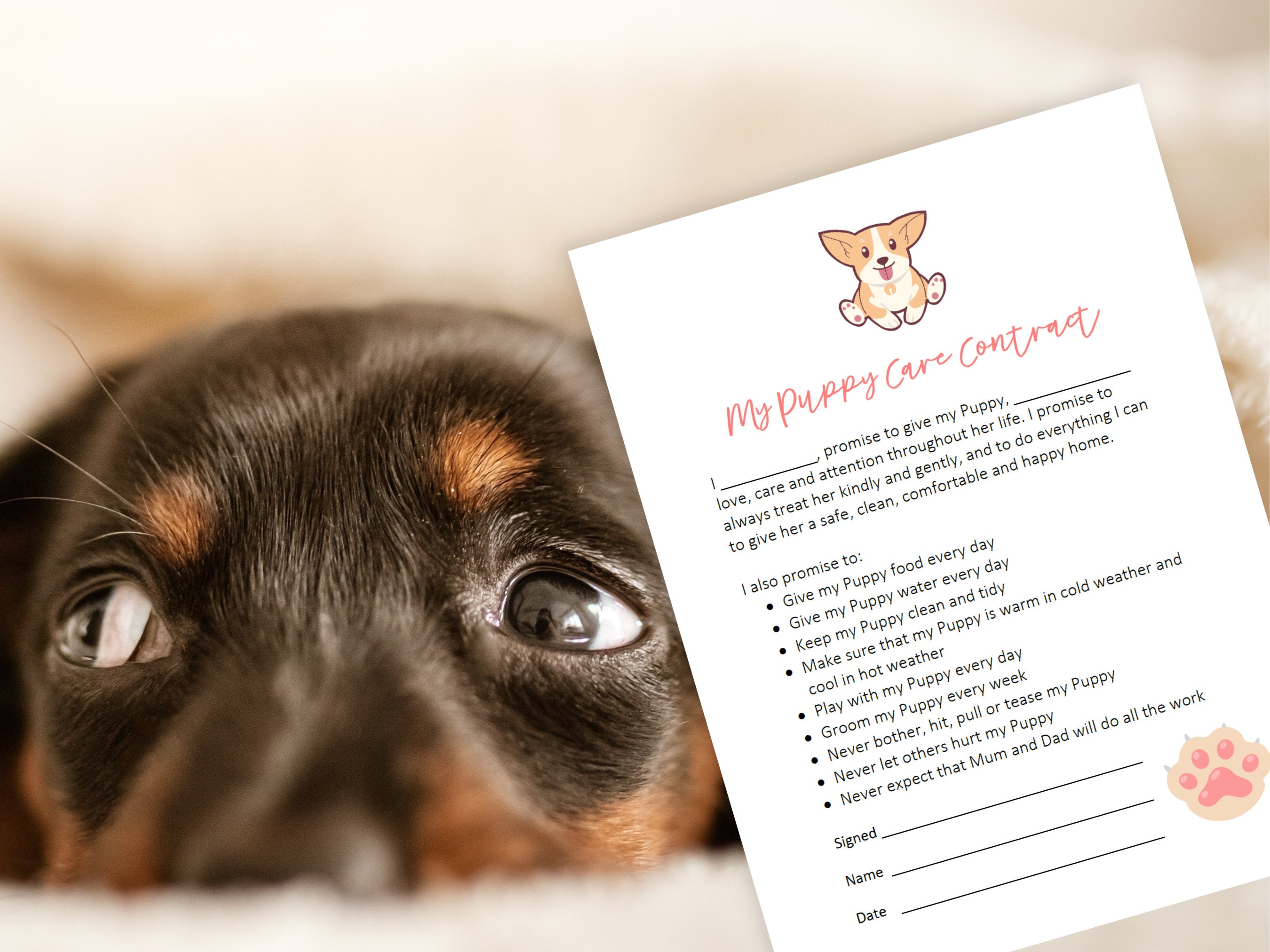 Should I Leave Water Out For My Puppy All Day