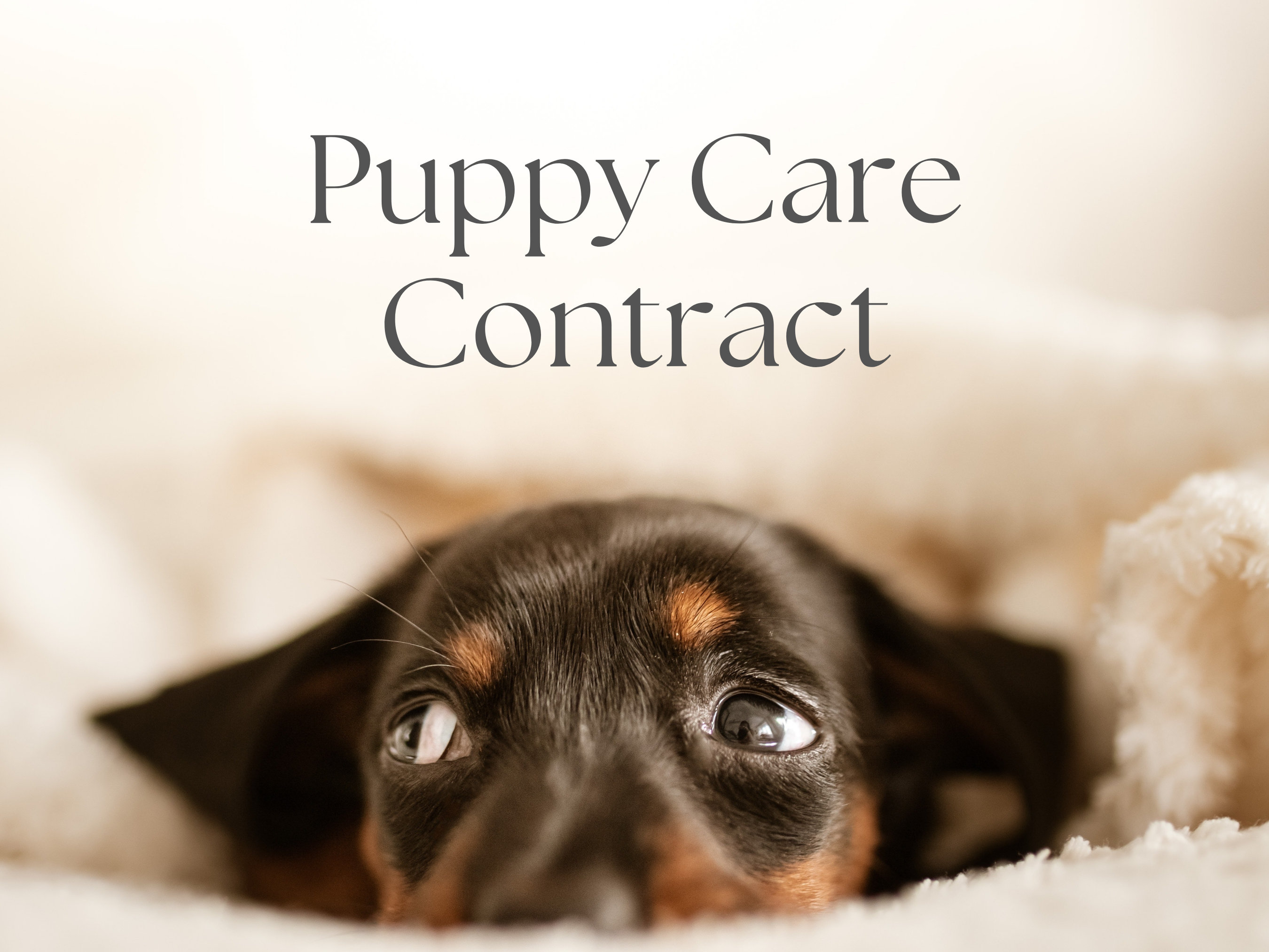 Puppy Care Contract | Dog Care Contract | for New Kids Pet | New Family ...