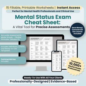 Foglio riassuntivo per l'esame sullo stato mentale, foglio riassuntivo MSE, PDF compilabile/stampabile, strumenti terapeutici, strumenti per consulenti, valutazione psicologica