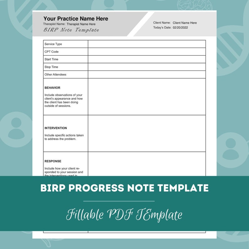 BIRP Progress Note Template Short and Long Editable / Fillable PDF