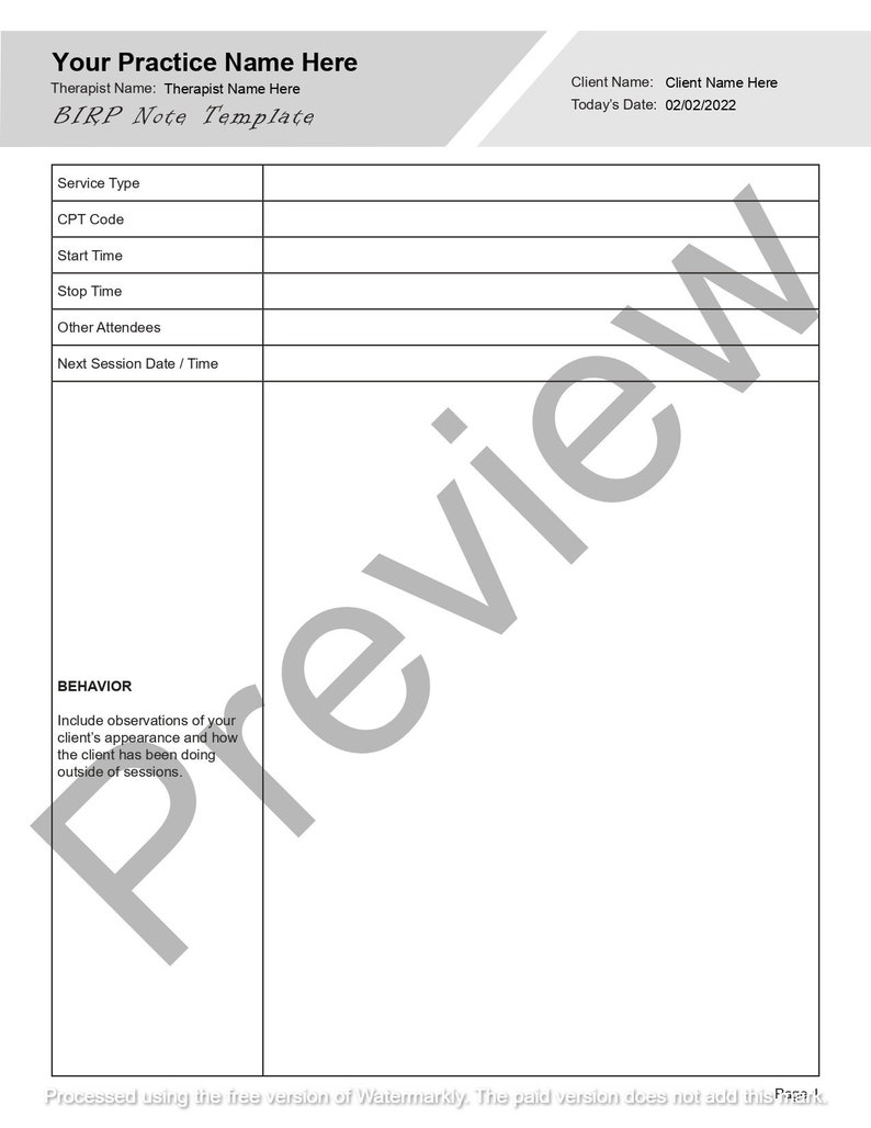BIRP Progress Note Template Short and Long Editable / Fillable PDF
