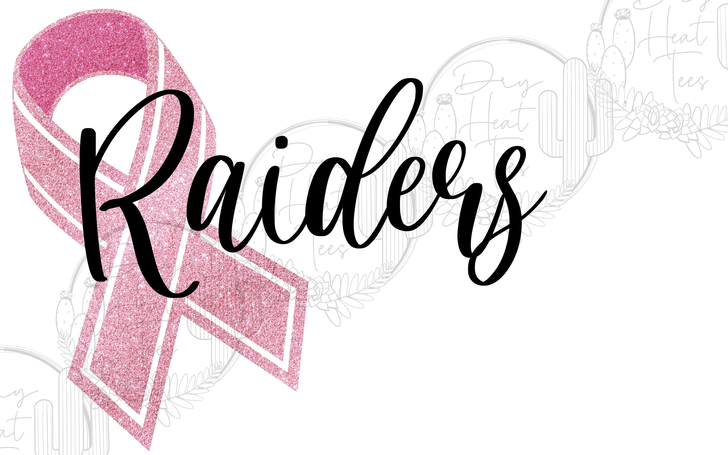 Las Vegas Raiders Bibs 2 pack Pink Logo, 1 unit - Harris Teeter