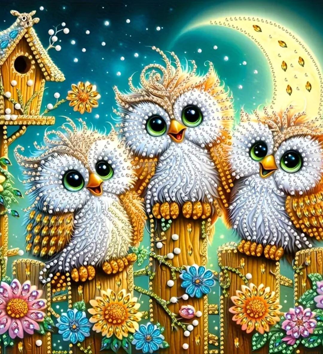 Owls Moon Diamond art Painting Kit Set Canvas 11.8 X 11.8 DIY Painting Rhinestones & Tools Craft