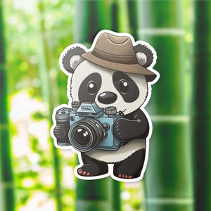 Cute Cartoon Panda Sticker |  Panda Bear Photography Sticker | Panda Bear Animal Sticker | Vinyl Sticker | Photographer Gift Funny