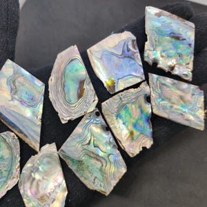 May include: A selection of iridescent abalone shell fragments. The shells exhibit a spectrum of colours, including blues, greens, and purples, with detailed patterns. The pieces are of various sizes and shapes, with a natural, textured look.
