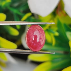 Op de afbeelding: Een gladde, ovaalvormige, levendige roze-rode edelsteen die tussen de metalen punten van een pincet wordt gehouden. De steen heeft een gepolijst oppervlak in cabochonstijl met een glanzende afwerking die het licht reflecteert.