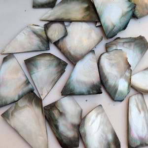 Puede incluir: Una colección de piezas planas e irregulares de nácar iridiscente. Cada fragmento muestra una superficie lisa y pulida con un brillo natural, presentando degradados en espiral de tonos blanco, crema y gris carbón oscuro.