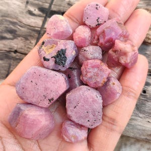 Op de afbeelding: Een handvol ruwe, ongeslepen robijn edelstenen in verschillende maten en vormen. De robijnen hebben een lichtroze kleur met donkerdere roze en zwarte insluitsels. De edelstenen worden in een open hand gehouden tegen een vage houten achtergrond.