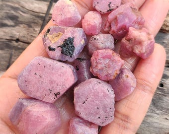 Peut inclure: Plusieurs pierres précieuses de rubis brutes et non taillées, de tailles et de formes variées. Les rubis sont de couleur rose clair avec des inclusions roses plus foncées et noires. Les pierres sont tenues dans une main ouverte sur un fond en bois flou.