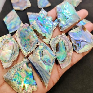 May include: A collection of iridescent abalone shell pieces, displaying a spectrum of colors including blues, greens, and purples. The shells have a natural, textured appearance with unique patterns. The pieces vary in size and shape.