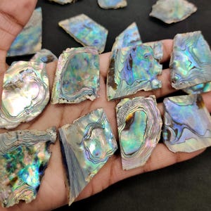 May include: A collection of iridescent abalone shell fragments. The shells display a range of colors, including blues, greens, and purples, with intricate patterns. The fragments vary in size and shape, with a natural, textured appearance.