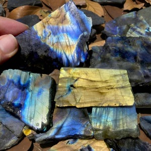 May include: A selection of raw labradorite stones, exhibiting iridescent blue, gold, and teal hues. The roughly cut gemstones vary in shape and size, with a dark, textured surface. The stones are held by a hand.