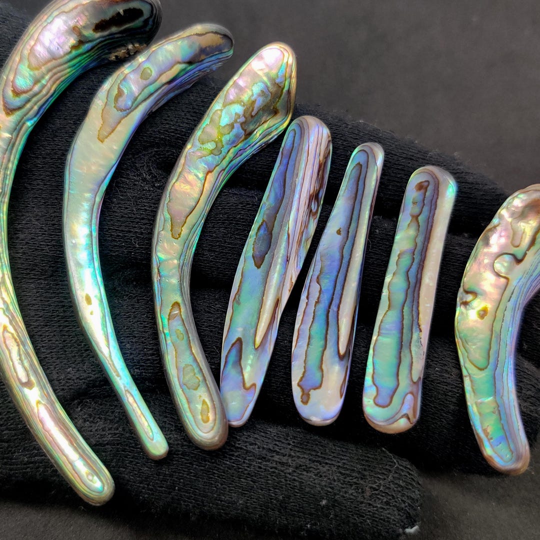 Abalone Shell Rim Abalone Shell Rim Tusks 40-70 MM. Natural Polished Carved Sticks ...