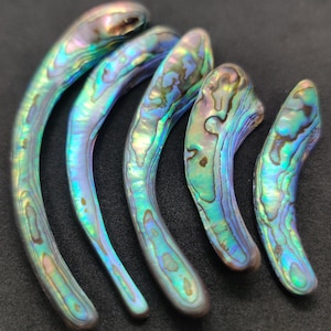 May include: A collection of iridescent abalone shells, showcasing a spectrum of colors including blues, greens, and purples. The shells have a curved, elongated shape with intricate patterns. The shells are arranged on a dark surface.