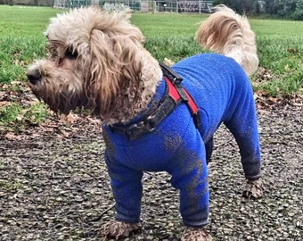 dog coats like equafleece