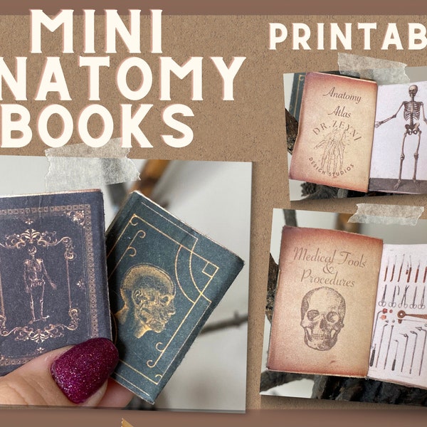 Mini Books- Anatomy - Antique / Vintage - PRINTABLE - Medical Books - Instant Download - PDF - Digital Download