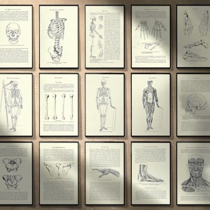 15 Vintage Skeletal / Muscular Anatomy Medical Science Surgical Book Pages - PRINTABLE - Instant Download