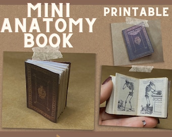 Vintage Anatomy Atlas Mini Prints: Unique Medical Decor (Digital Download)