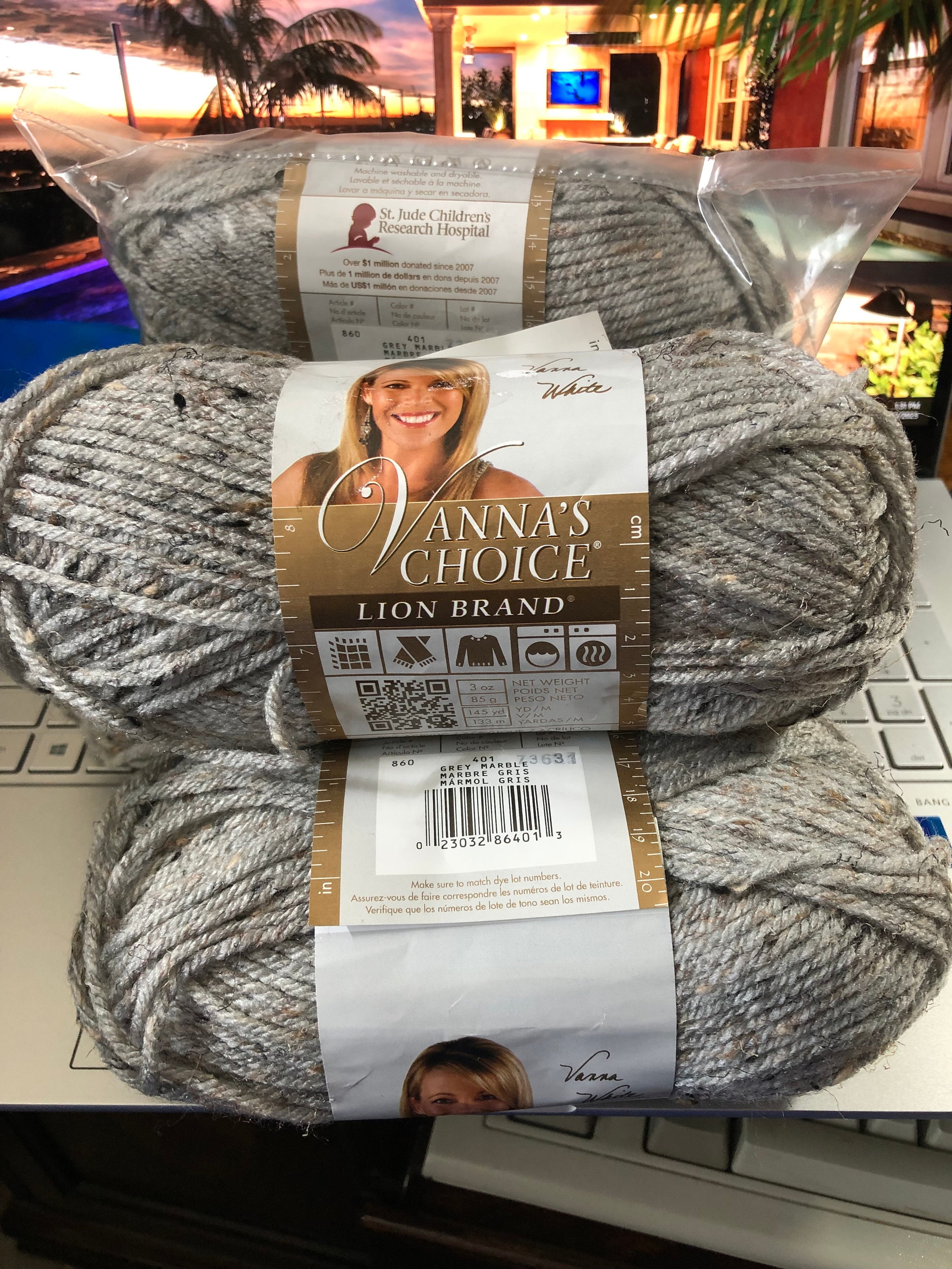 New 1 Skein Of 3 Oz Lion Brand Vanna's Choice Yarn In Color Silver