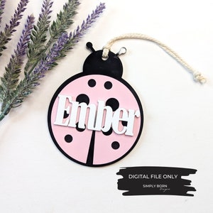Etichetta di Pasqua SVG, Primavera svg, Coccinella SVG, Etichetta cestino svg, Pasqua per bambini svg, Etichetta nome svg, Etichetta regalo SVG, Regalo di Pasqua per bambini svg, Acrilico svg