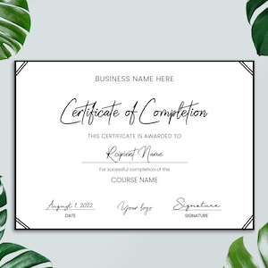 Bearbeitbares Abschlusszertifikat, druckbares Abschlusszertifikat, bearbeitbare Vorlage für Trainingszertifikate, Beauty Award