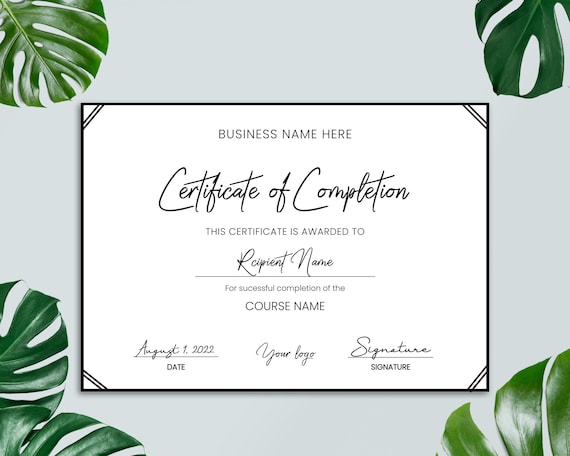 Editable Certificate Of Completion, Printable Course Completion Certificate, Editable Training Certificate Template, Beauty Award
