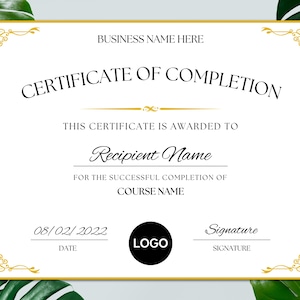 Editable Certificate Of Completion, Canva Template, Printable Course Completion Certificate, Beauty Award, DIY Artist Training Certificate