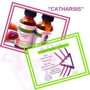 May include: Two amber glass bottles with dropper tops labeled "Flower Essences by Design" and "Catharsis". The bottles are on a pink and green background with a chart showing the "Open Solar Plexus" with the words "Spirit, Consciousness, Awareness, Wavelike, Emotional Energy, Lungs, Kidneys, Pancreas, Prostate, Nervous System" and numbers 6, 37, 22, 36, 49, 55, 30.