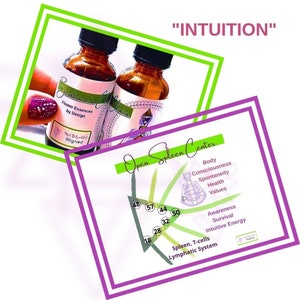 May include: Two small glass bottles with labels that say "Catrice Flower Essences by Design" and "Aligned". The bottles are in front of a purple and green graphic with the text "Open Spleen Center" and a diagram with numbers. The text "INTUITION" is at the top of the image.