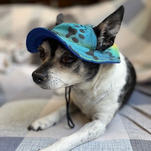 Dog Bucket Hat, Pet Headwear, Fashion Accessories for Pets image 1