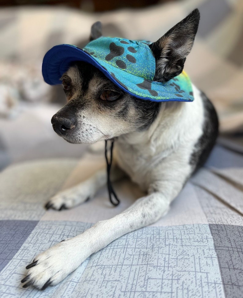 Dog Bucket Hat, Pet Headwear, Fashion Accessories for Pets image 1