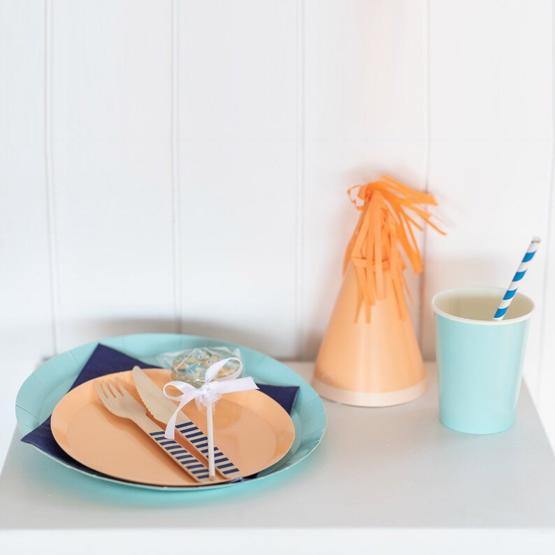 Bluey Party Table Setting Etsy