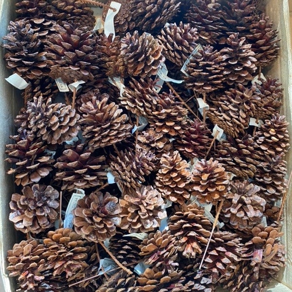 Glitter Pine Cones - Etsy
