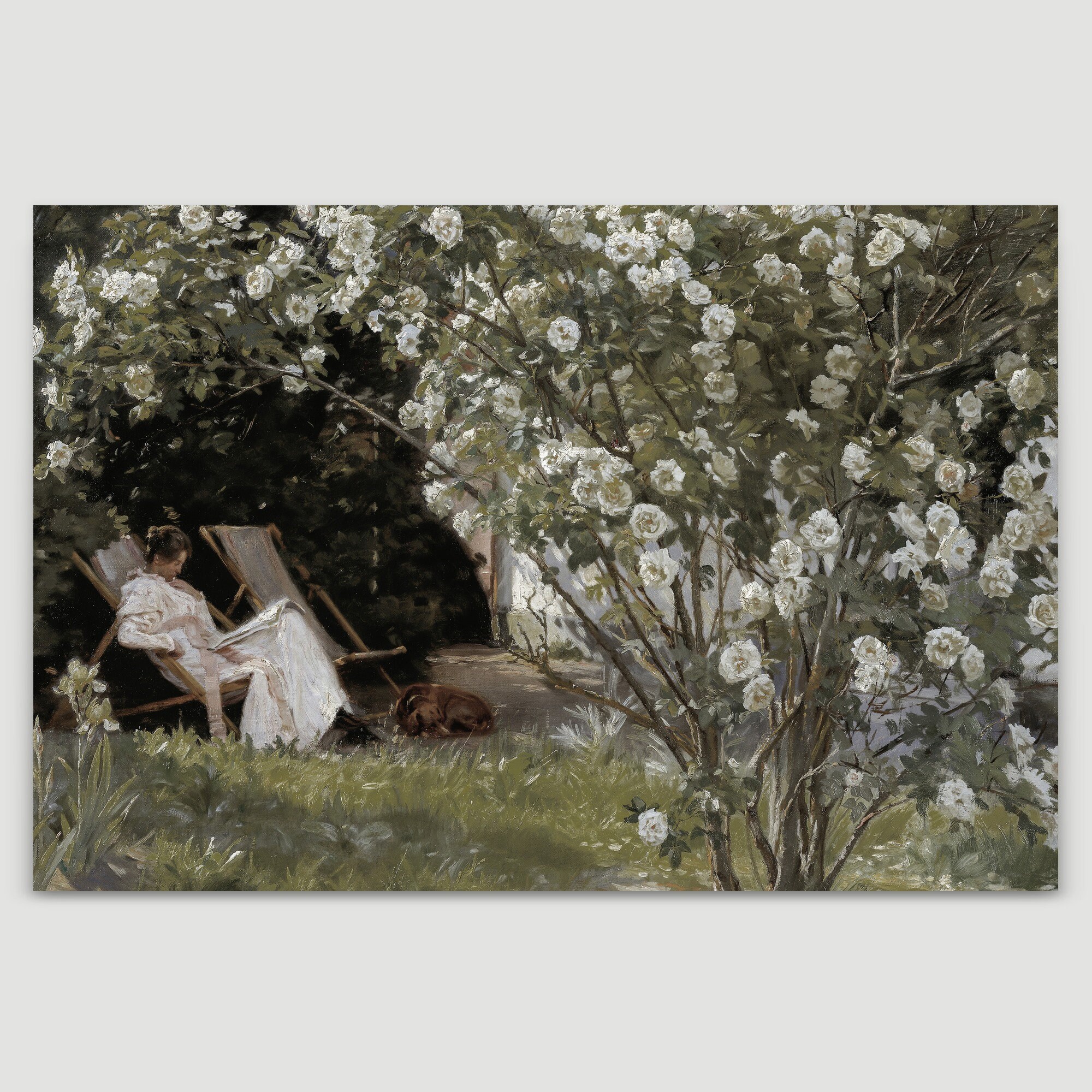 French Country White Rose Garden Art, Framed Canvas Print, Large Wall ...
