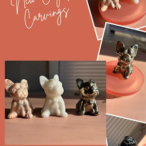 Red Vein Jasper “Nico”  French Bulldog