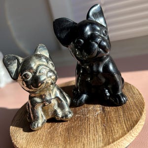 Black Obsidian “Bruno” Bulldog