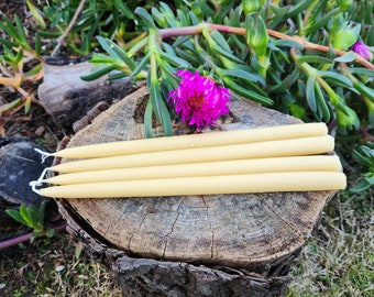 Beeswax Taper Candles 25cm 6+ hour burn time