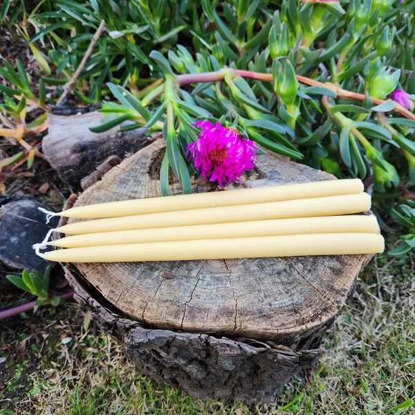 Beeswax Taper Candles 25cm 6+ hour burn time