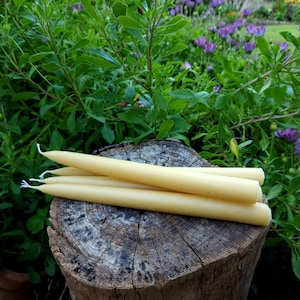 Pu&ograve; includere: Una collezione di candele affusolate giallo pallido con stoppini bianchi, appoggiate su un ceppo d'albero usurato. Le candele sono cilindriche e hanno una superficie liscia. Il fogliame verde e i fiori viola forniscono uno sfondo naturale.
