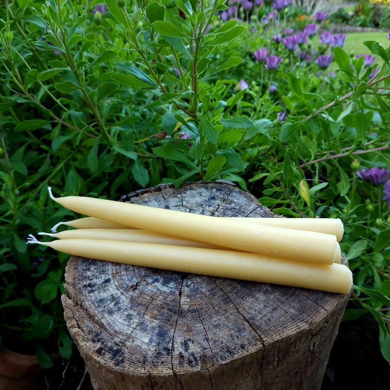Pu&ograve; includere: Una collezione di candele affusolate giallo pallido con stoppini bianchi, appoggiate su un ceppo d'albero usurato. Le candele sono cilindriche e hanno una superficie liscia. Il fogliame verde e i fiori viola forniscono uno sfondo naturale.