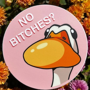 Funny Duck Sticker | Funny Animal Sticker | Meme Sticker