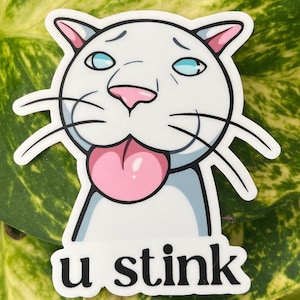 Funny Cat Sticker | Funny Animal Sticker | Meme Sticker | Cat Meme Sticker