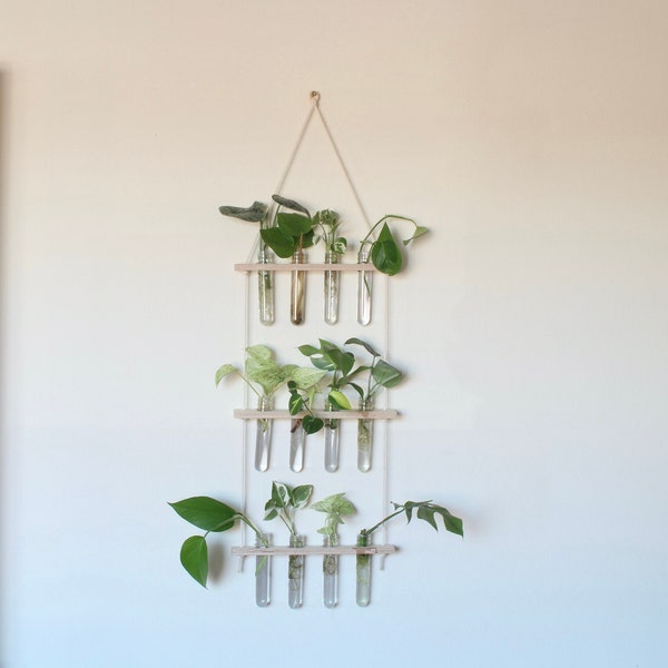 Propagation Station Etsy