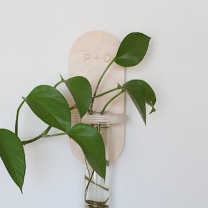 Customizable Wall Propagation Station Planter