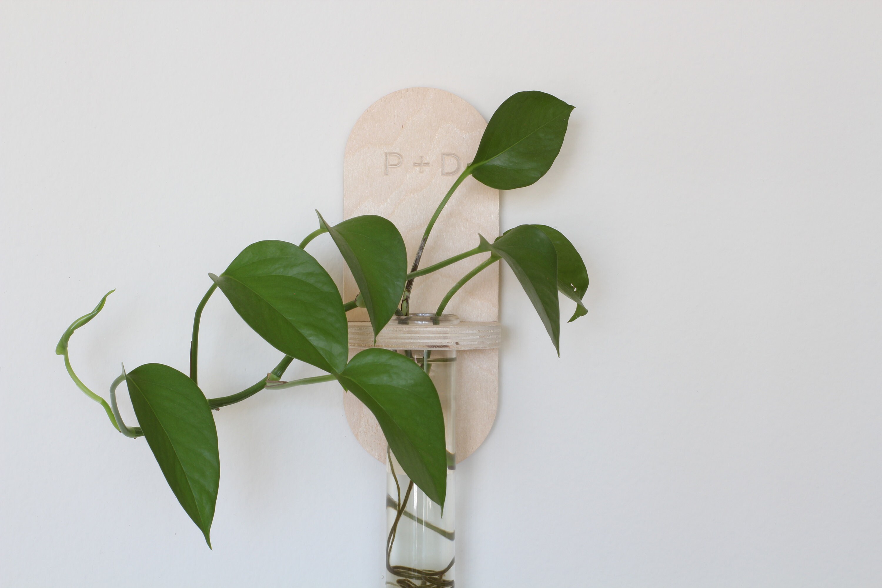 Customizable Wall Propagation Station Planter